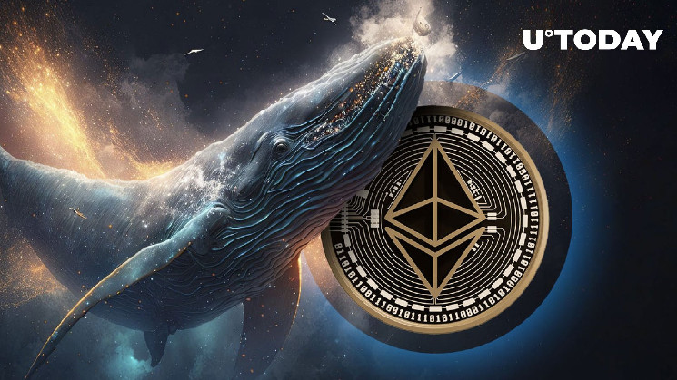 Ethereum Whale at Risk of Liquidation After Acquiring 25,674 ETH: Full Story