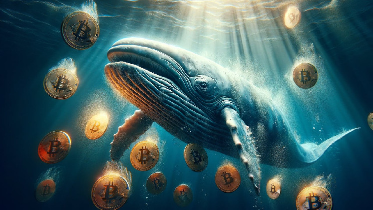 Whale’s Mysterious 2015 Bitcoin Transfer of 2,101 BTC Causes Ripple of $88M