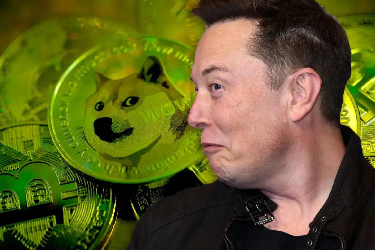 Elon Musk Causes Stir in Fake Bitcoin Spot ETF Controversy with Tweet About Dogecoin