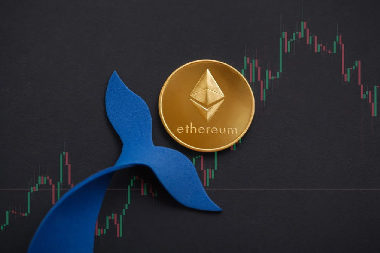 Mysterious Whale Quietly Acquires $50 Million Worth of Ethereum in Minutes: Ethereum Price Predictions