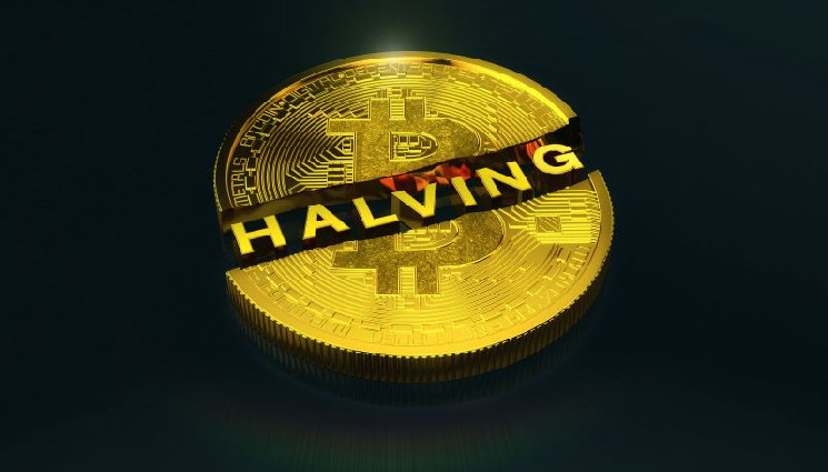 Bitcoin’s Price Prediction for 2024 Rises as Excitement Surrounding Halving Grows