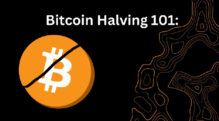 ETFs Pose Challenge to Bitcoin Halving’s Importance