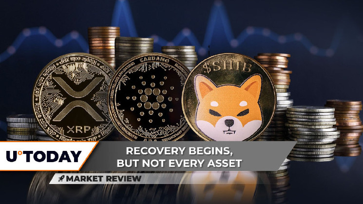 Concerns Raised by XRP Volume Pattern, Breakout Secured by Cardano (ADA), Cup Reversal Pattern Emerging for Shiba Inu (SHIB)