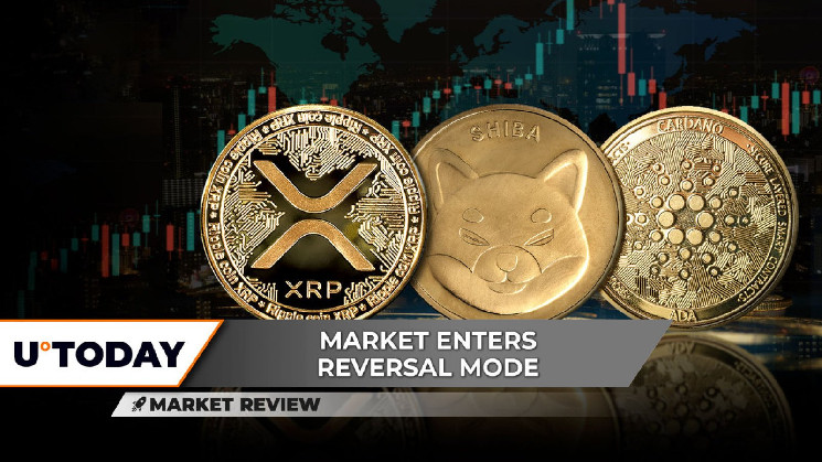 Could XRP Experience a Rally Soon? Shiba Inu (SHIB) Rebound Indicates 60% Upside Potential, Anticipating Major Cardano (ADA) Reversal?