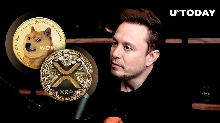 Elon Musk’s Tweet Sparks Strong Responses from XRP and Dogecoin Communities