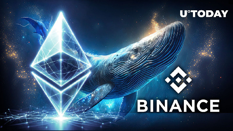 Binance Observes Ethereum Whales Outflow: What’s Going On?