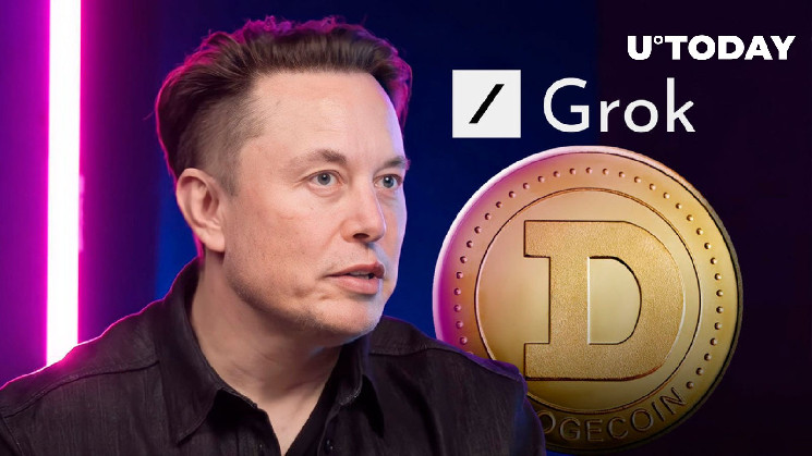 DOGE Developer Provides Important Insights on Elon Musk’s Dogecoin Announcement