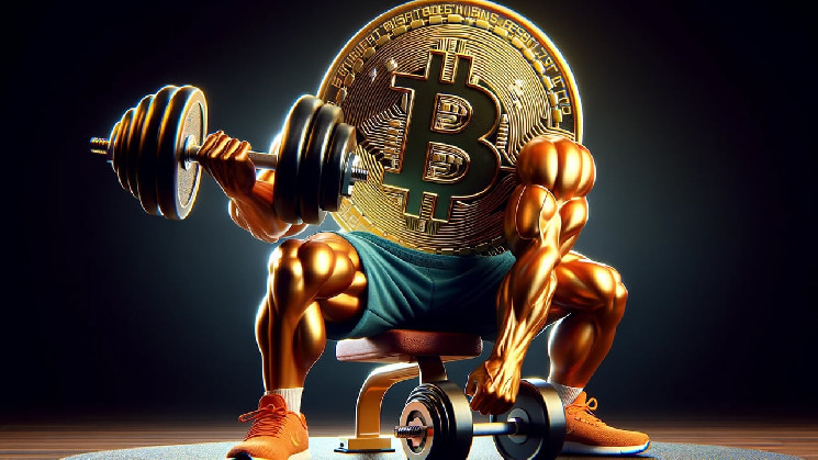 Bitcoin remains strong, edging closer to all-time high compared to other cryptocurrencies.