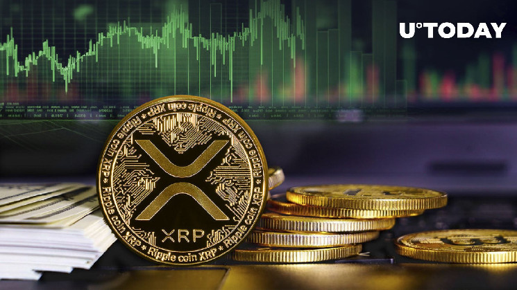 Why XRP is the Most Talked-About Asset in the Market